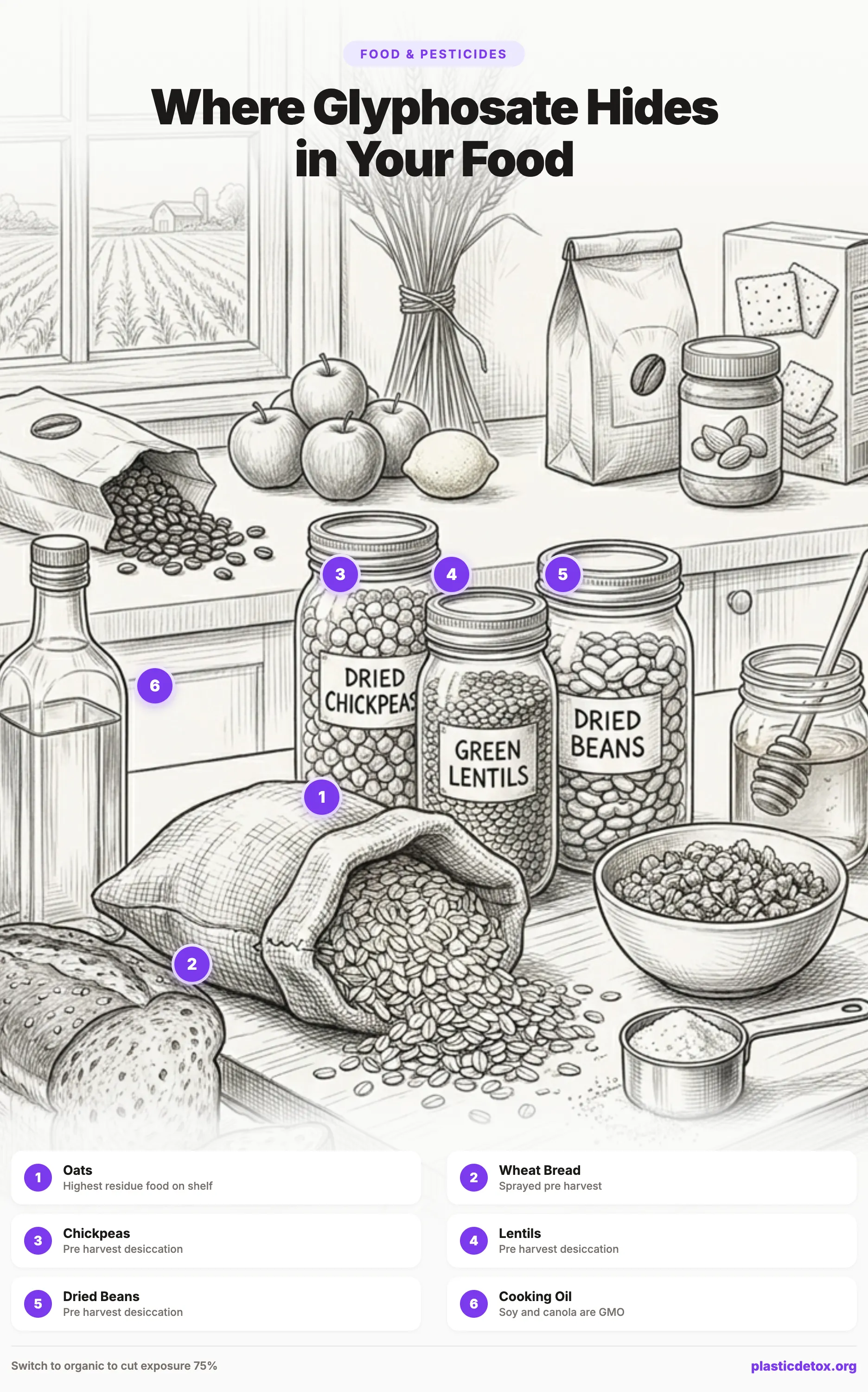 Illustration showing the 6 highest glyphosate residue foods in a typical pantry: oats, wheat bread, chickpeas, lentils, dried beans, and cooking oil, with the headline 'Where Glyphosate Hides in Your Food'
