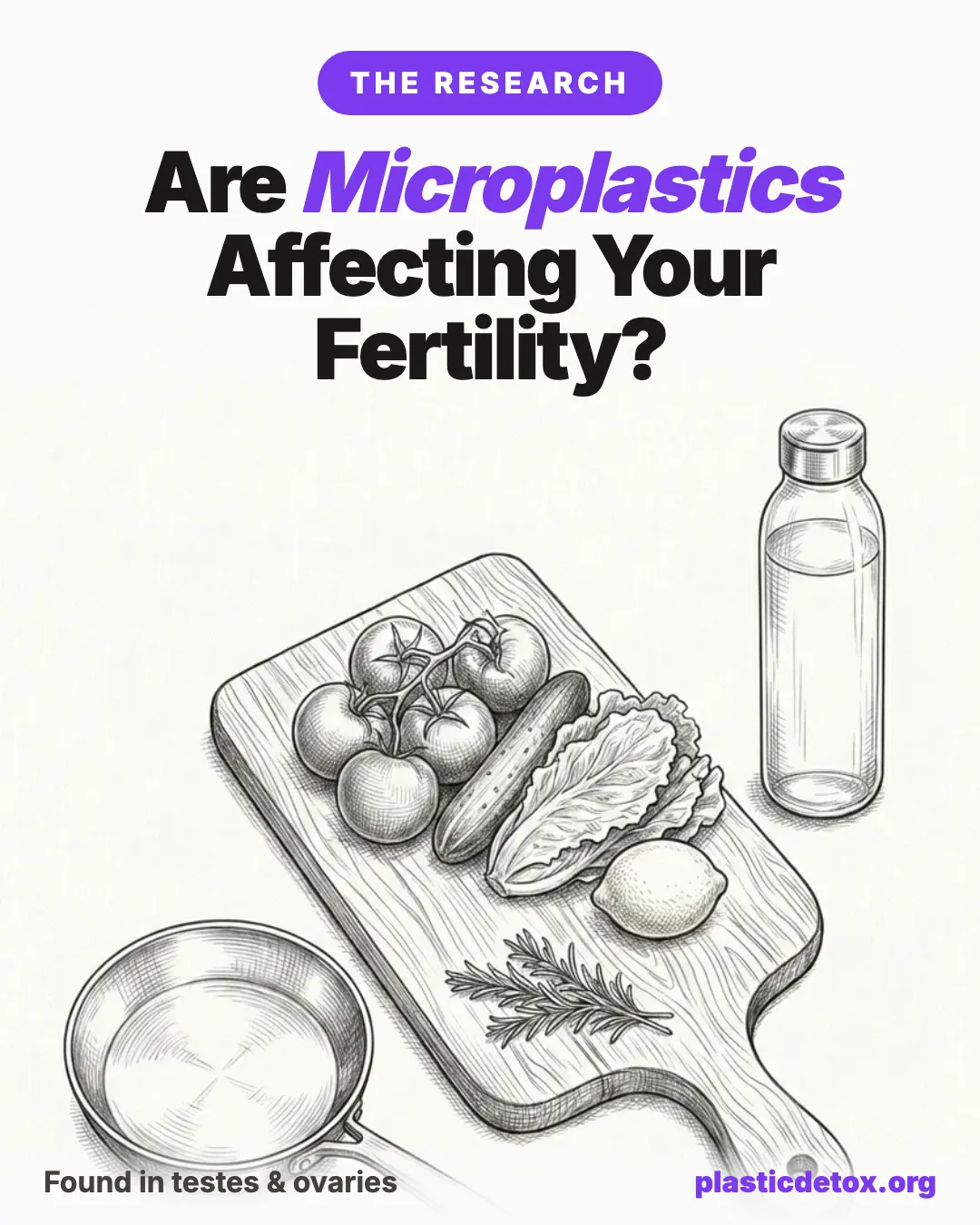 Black and white pencil illustration of a developing egg cell surrounded by sperm with scattered plastic fragments, under the headline 'Are Microplastics Affecting Your Fertility?'