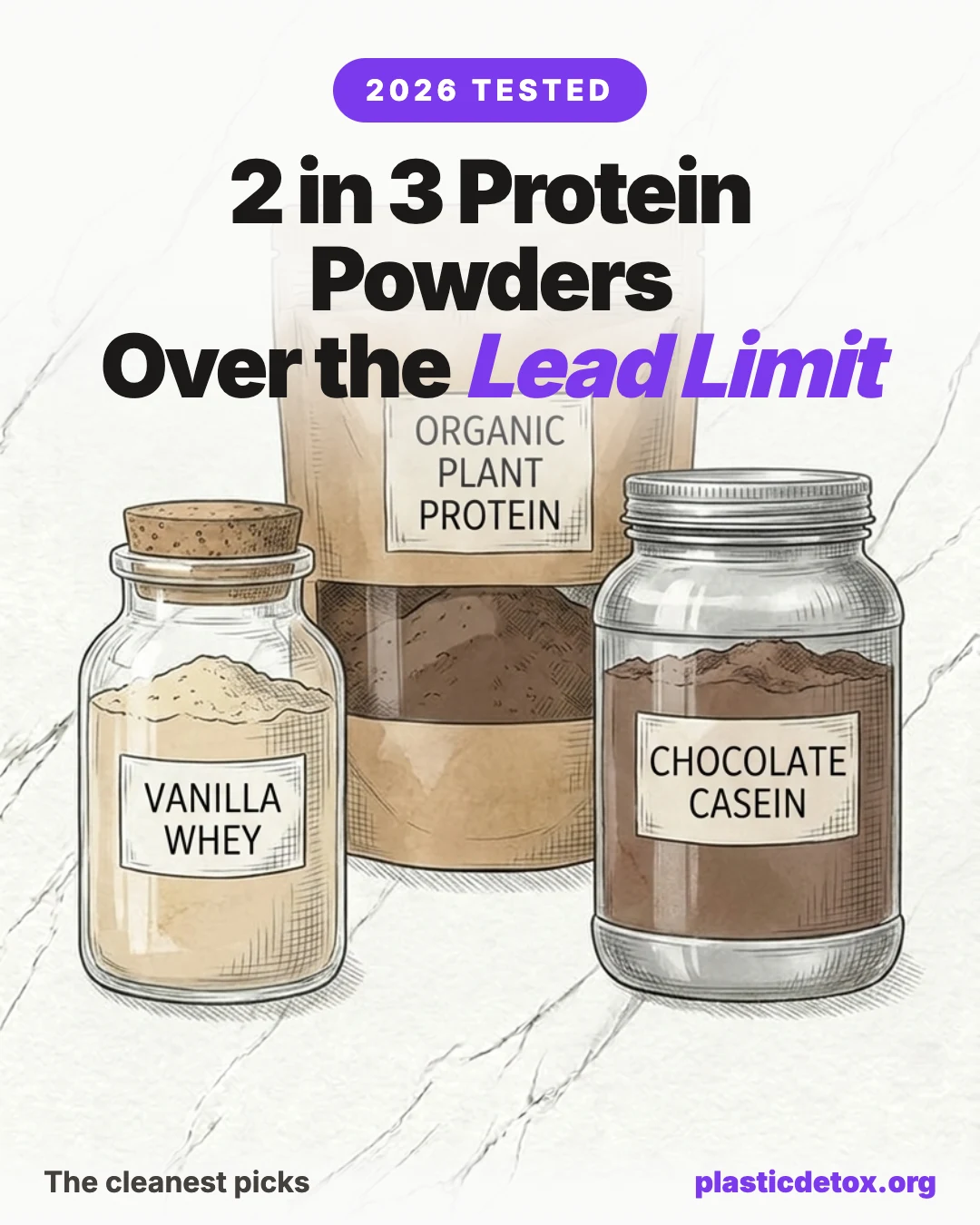 2 in 3 protein powders over the lead limit: pencil illustration of a vanilla whey jar, organic plant protein pouch, and chocolate casein tub